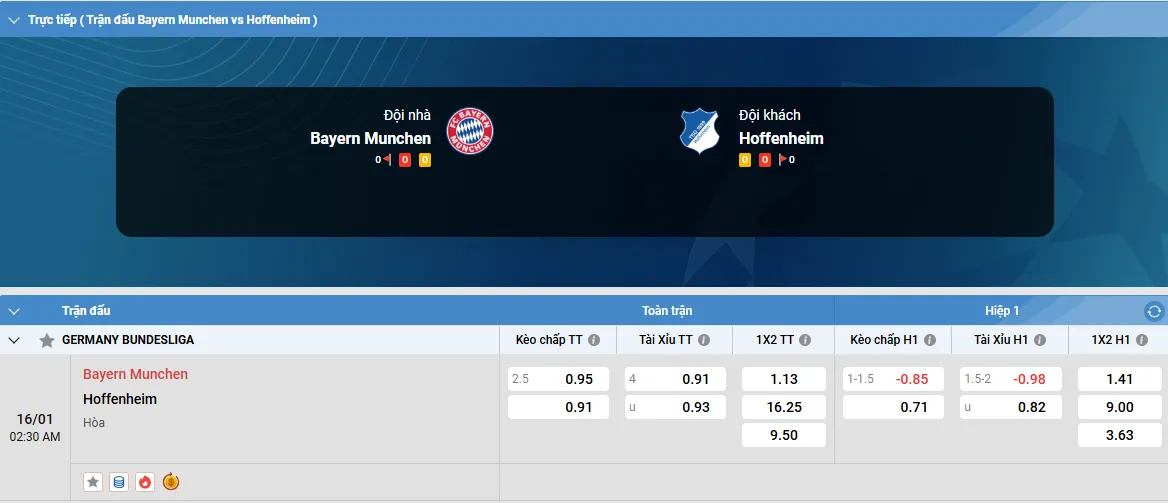 bayern-munich-vs-hoffenheim-5 Fun88 soi kèo nhà cái
