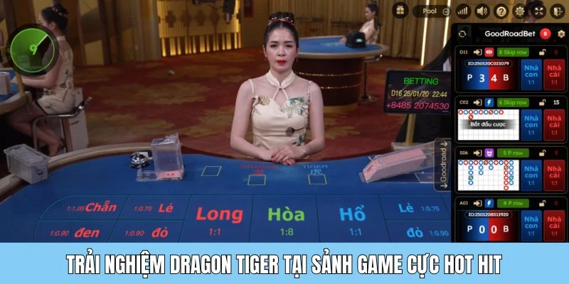 dragon tiger DG palace Trải nghiệm dragon tiger tại sảnh game cực hot hit