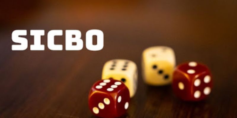 meo choi mega sicbo gioi thieu tro choi Giới thiệu về game Mega Sicbo